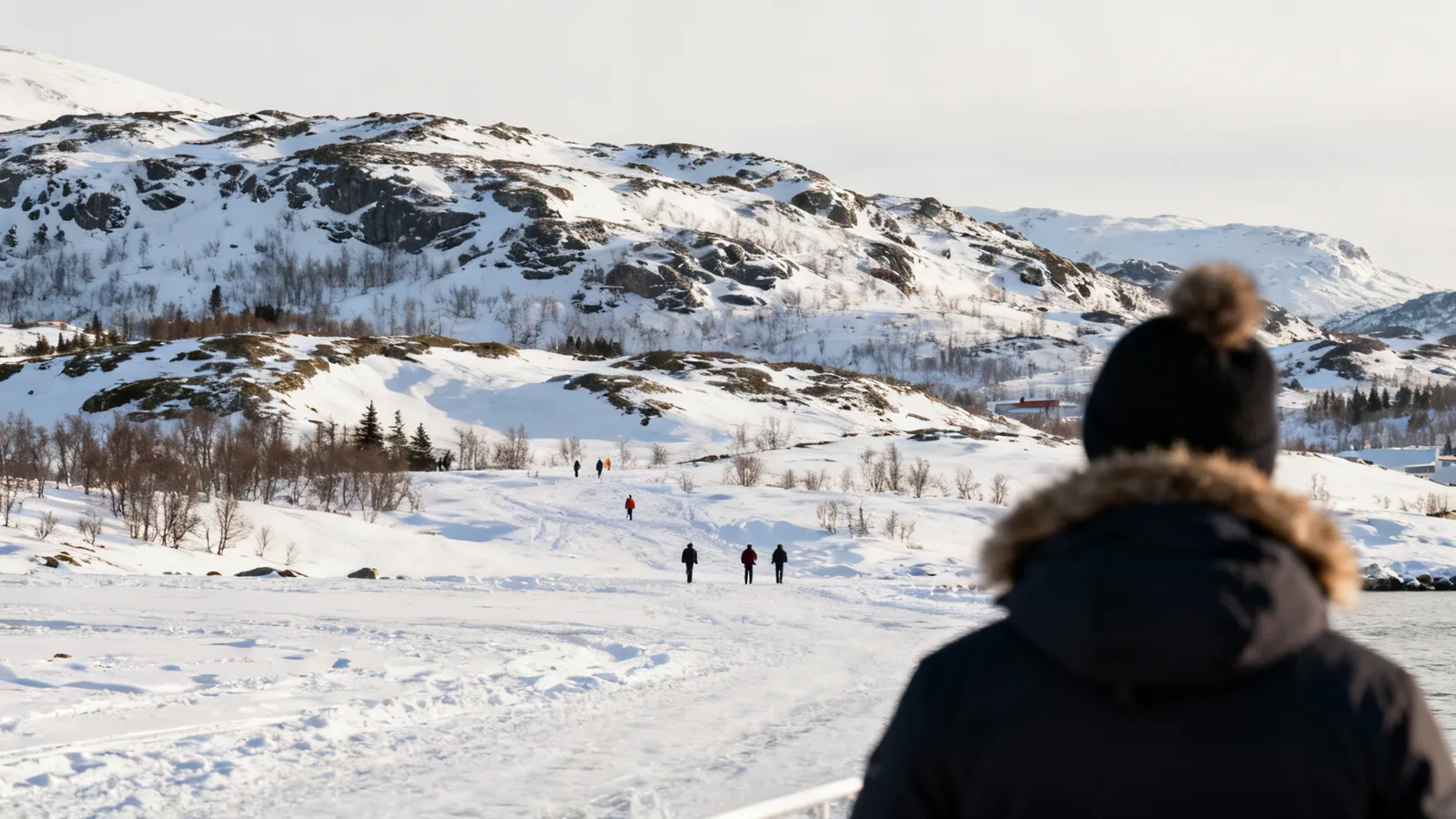 A traveller looking over a snowy coast