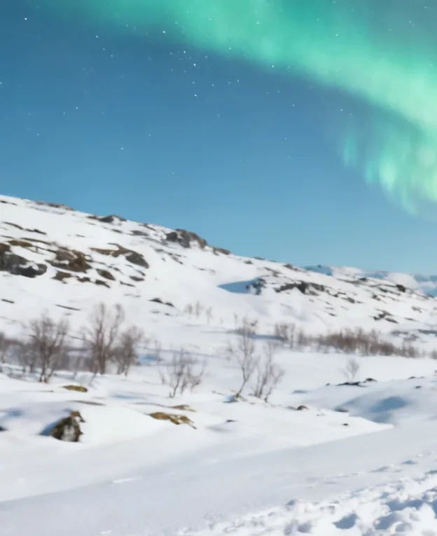 Winter scenery beneath a band of aurora