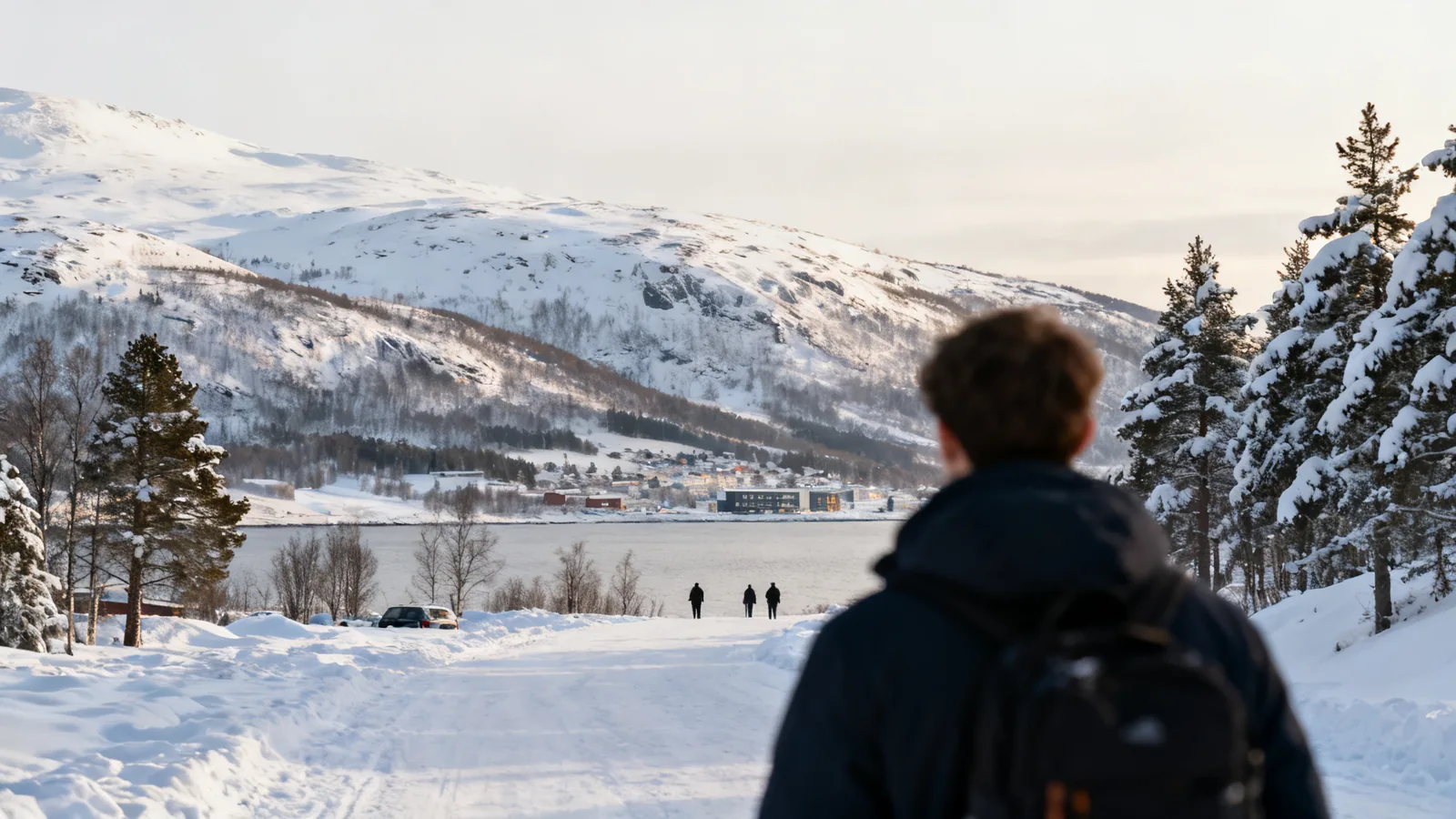 A traveller facing a snowy coast in daylight