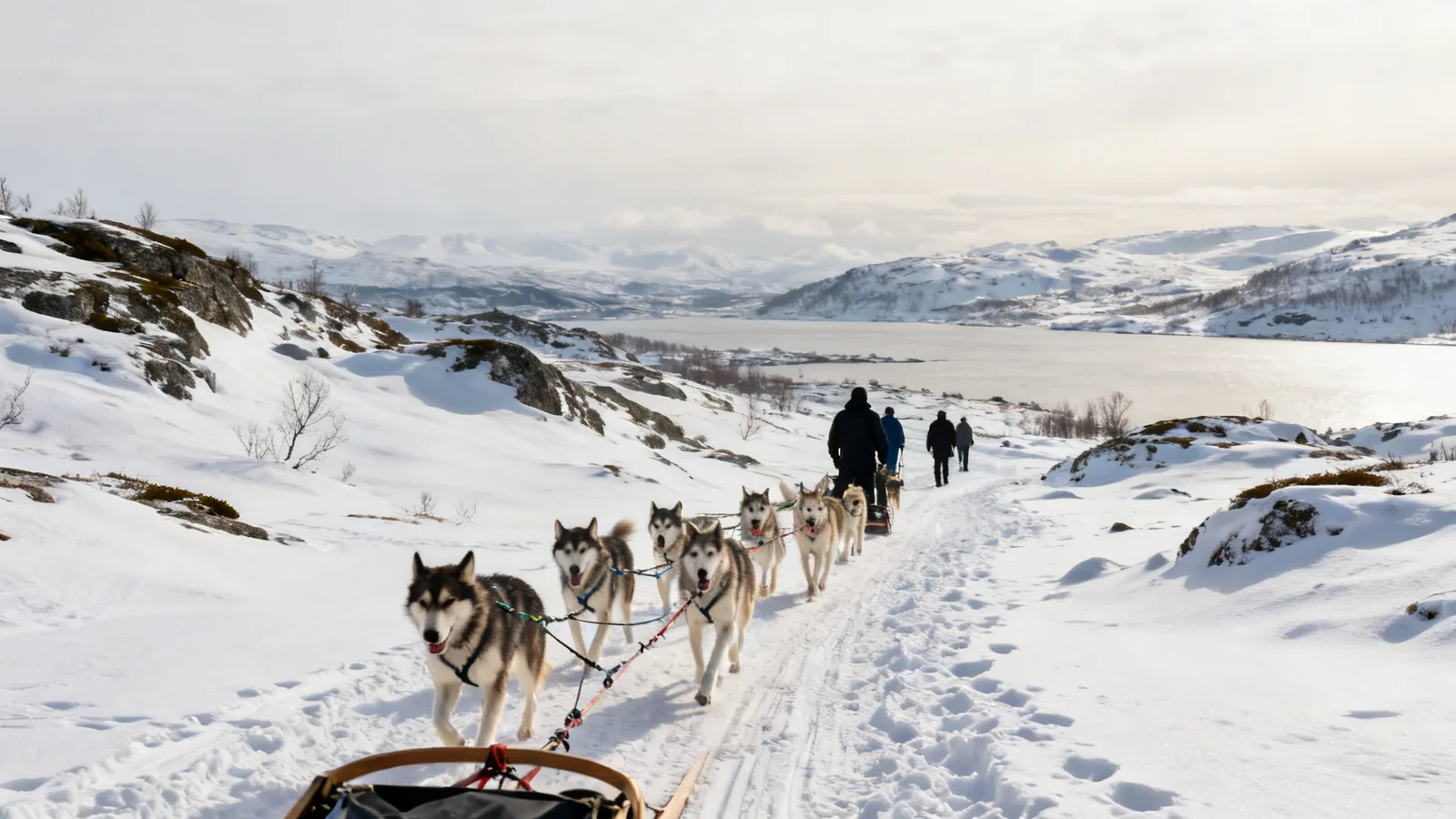A husky team on a snowy trail with distant handlers