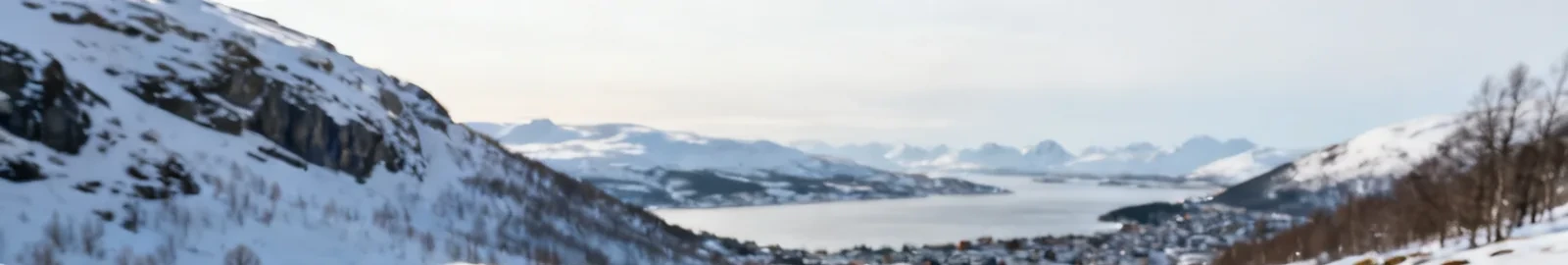 Mountains rising above a winter waterfront