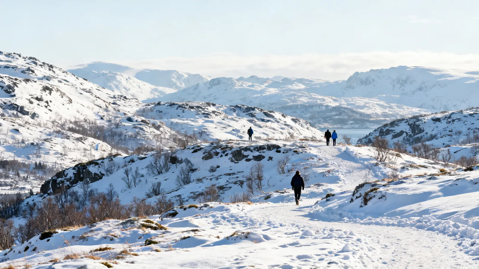 Walkers looking across a snowy fjord